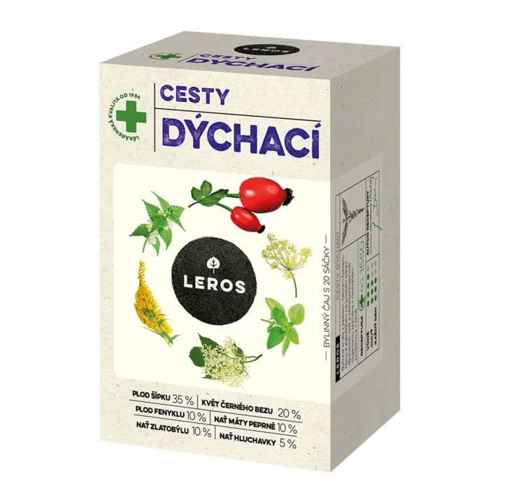 Cesty dýchacie