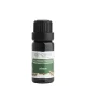 Zázvor 10 ml