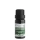 Bio Eukalyptus radiata 2 ml tester sklo