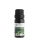 Bazalka 2 ml tester sklo